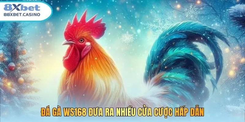 Đá gà WS168 đưa ra nhiều cửa cược hấp dẫn