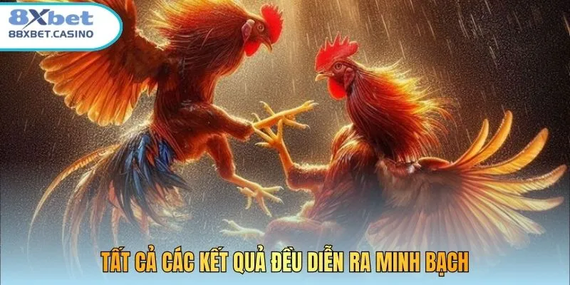 Tất cả các kết quả đều diễn ra minh bạch