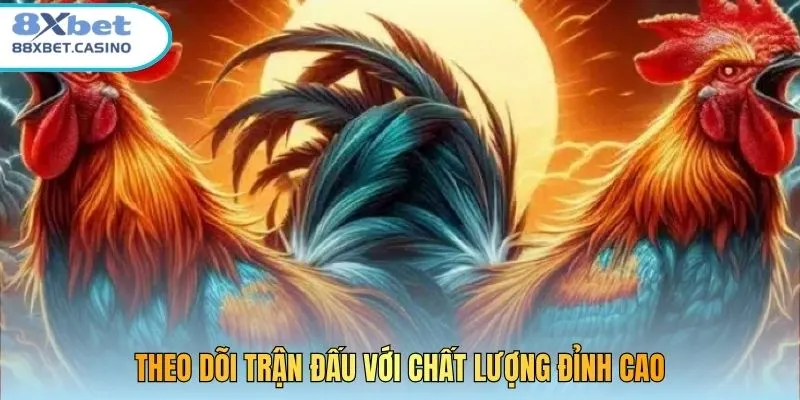 Theo dõi trận đấu với chất lượng đỉnh cao
